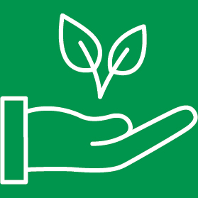 Stylized illustration of a hand holding a plant.